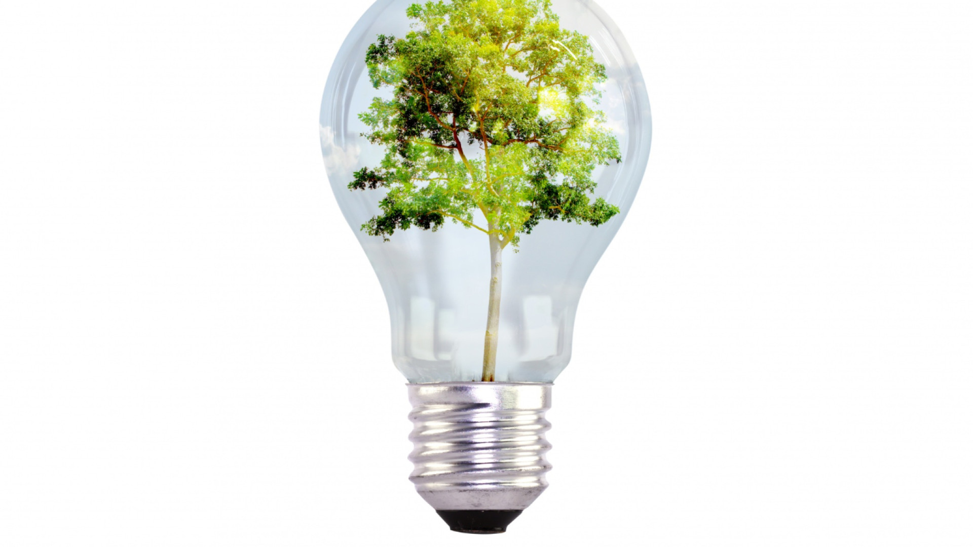 Les avantages de passer à une offre d'électricité 100% verte