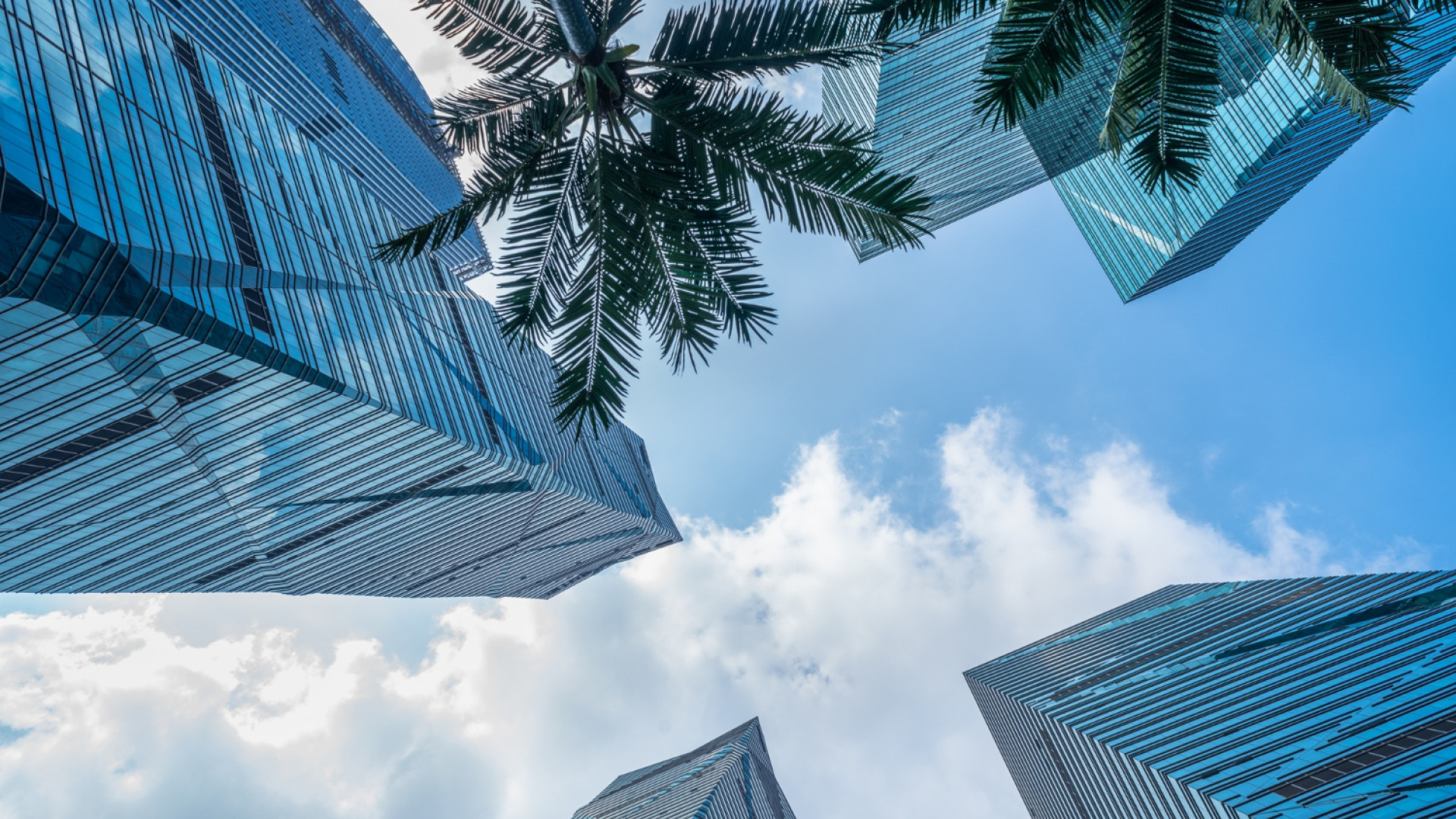 Investir à dubaï : votre futur appartement vous attend !